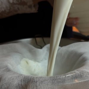 Cheesense