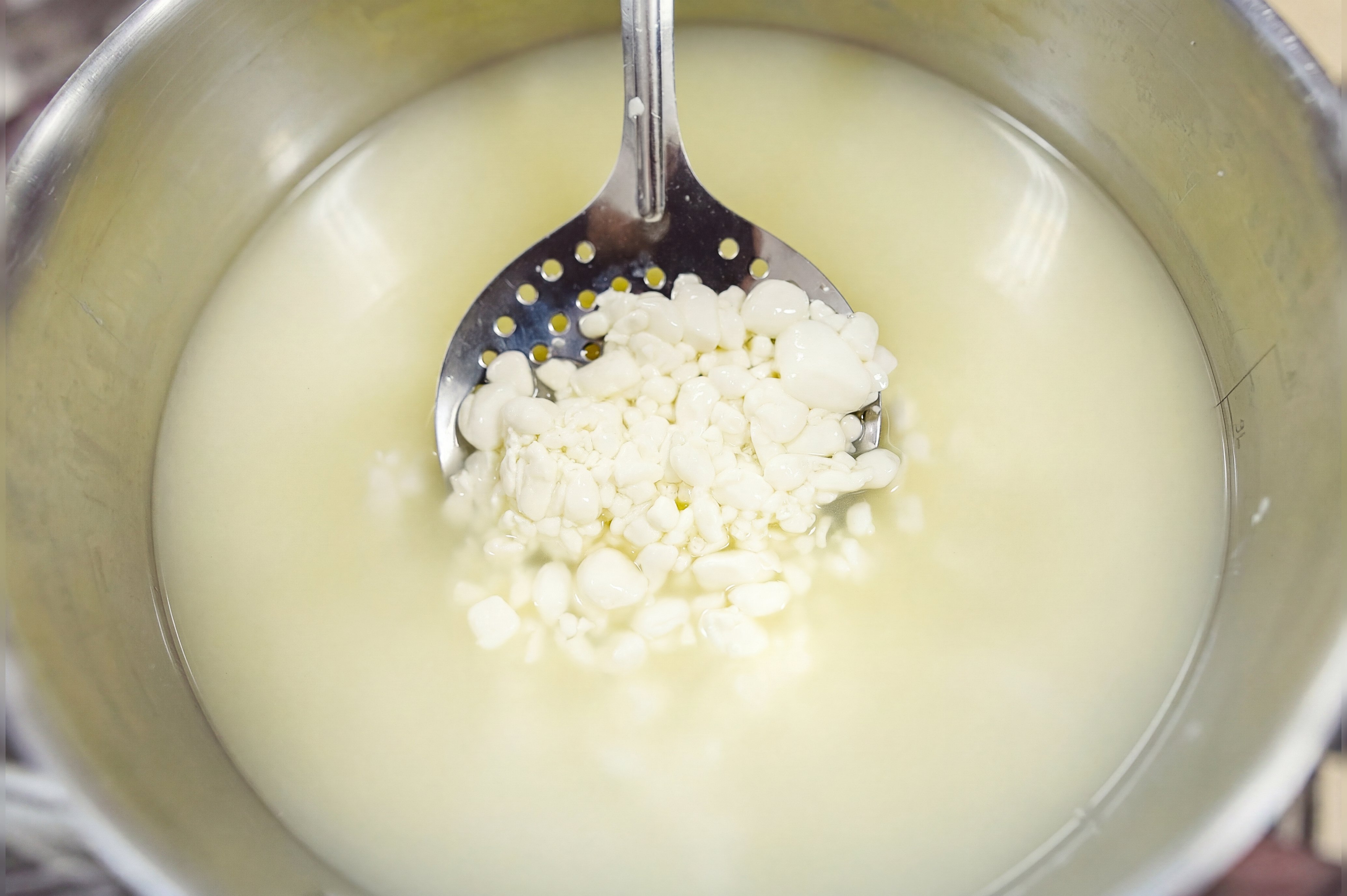 Fresh cheese curds