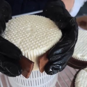 Cheesense