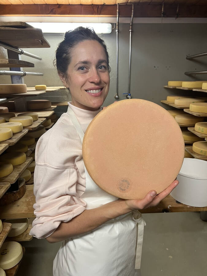 10 mistakes beginners make in cheesemaking