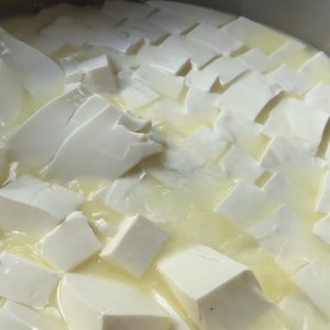Cheesense